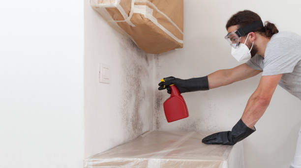 Professional Crawl Space Mold Remediation technician working in Emerson, GA