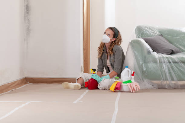 Reliable Crawl Space Mold Remediation contractor in Emerson, GA by 24 Hour Mold Removal