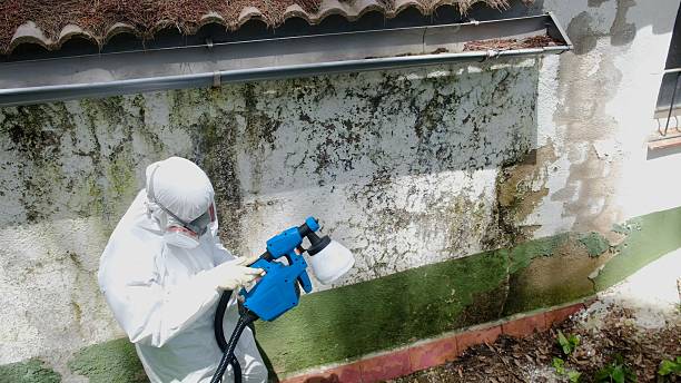 Top rated local Crawl Space Mold Remediation specialists in Emerson, GA